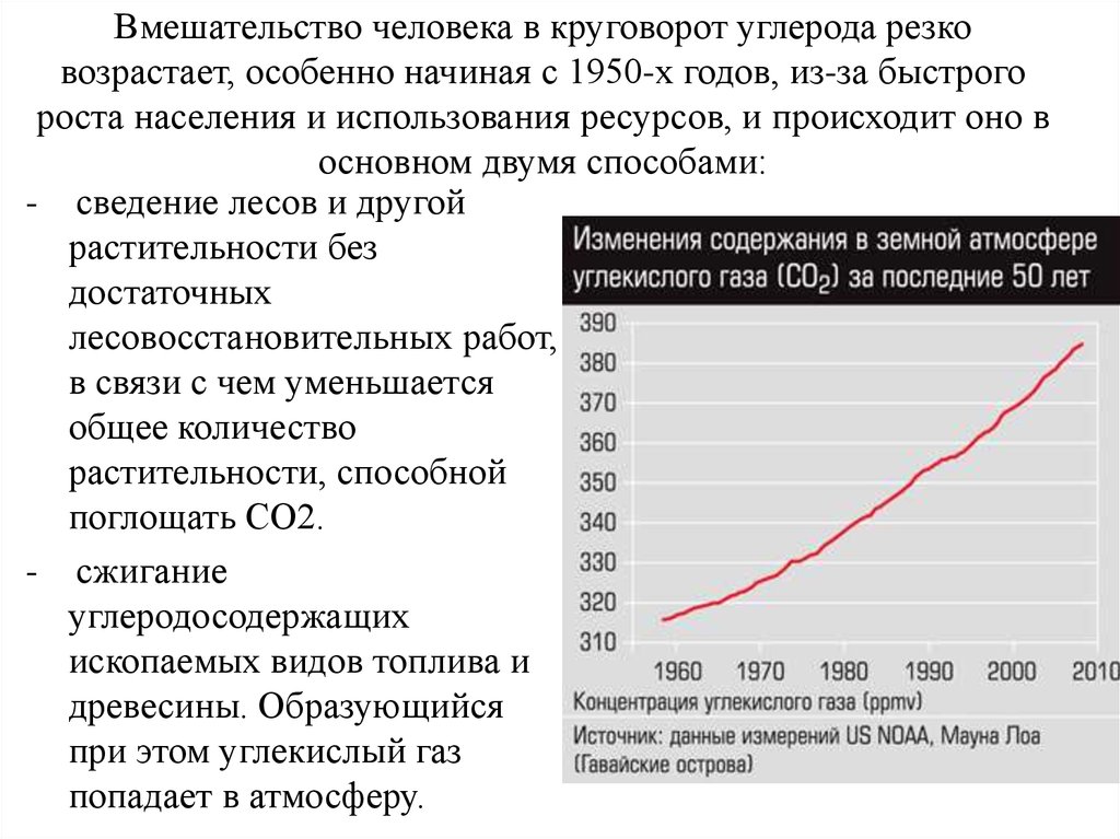 Вмешательство человека в круговорот углерода резко возрастает, особенно начиная с 1950-х годов, из-за быстрого роста населения