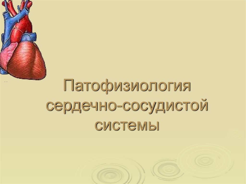 Патологии физиология. Патология сердечно сосудистой системы патофизиология. Патофизиология сердечно-сосудистой системы Лилли. Физиология и патофизиология ССС. Патофизиология системного кровообращения.