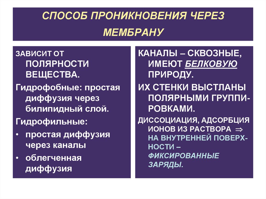 Имеют 1 мембрану. Способы проникновения веществ через биологические мембраны. Способы проникновения веществ через мембрану. Способ проникновения лекарственных веществ через клеточные мембраны. Проникновение лекарственных веществ через мембрану.