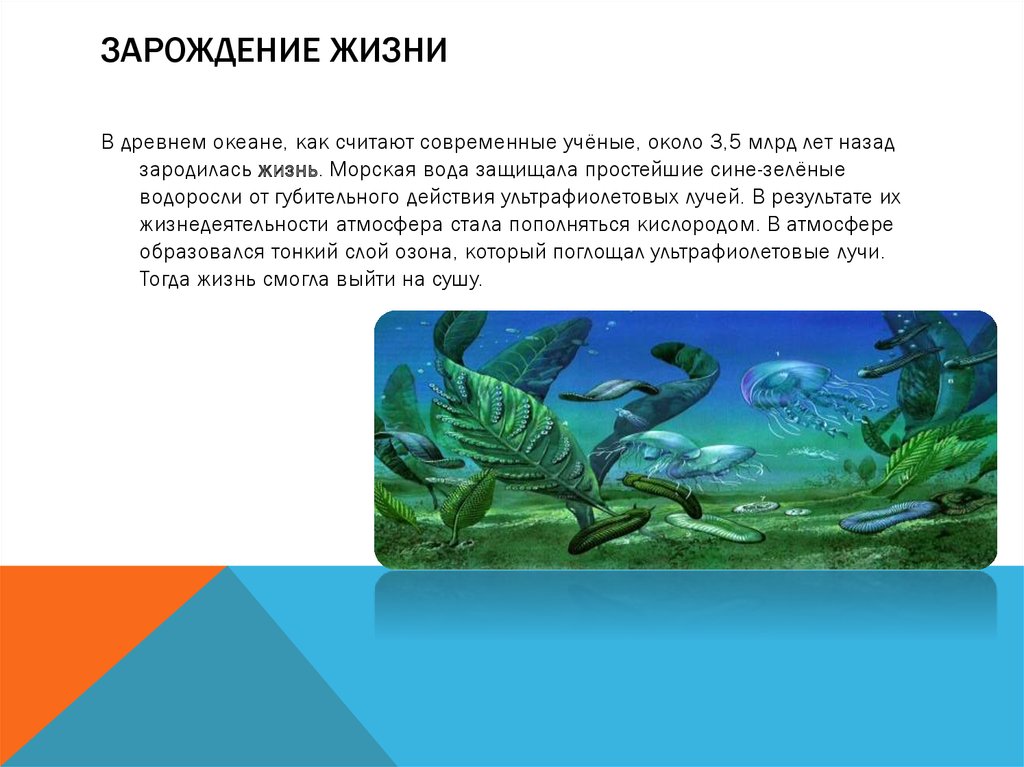 Какое первое живое существо на земле. Жизнь зародилась в воде. Возникновение жизни в воде. Возникновение жизни в океане. Первые организмы на земле.