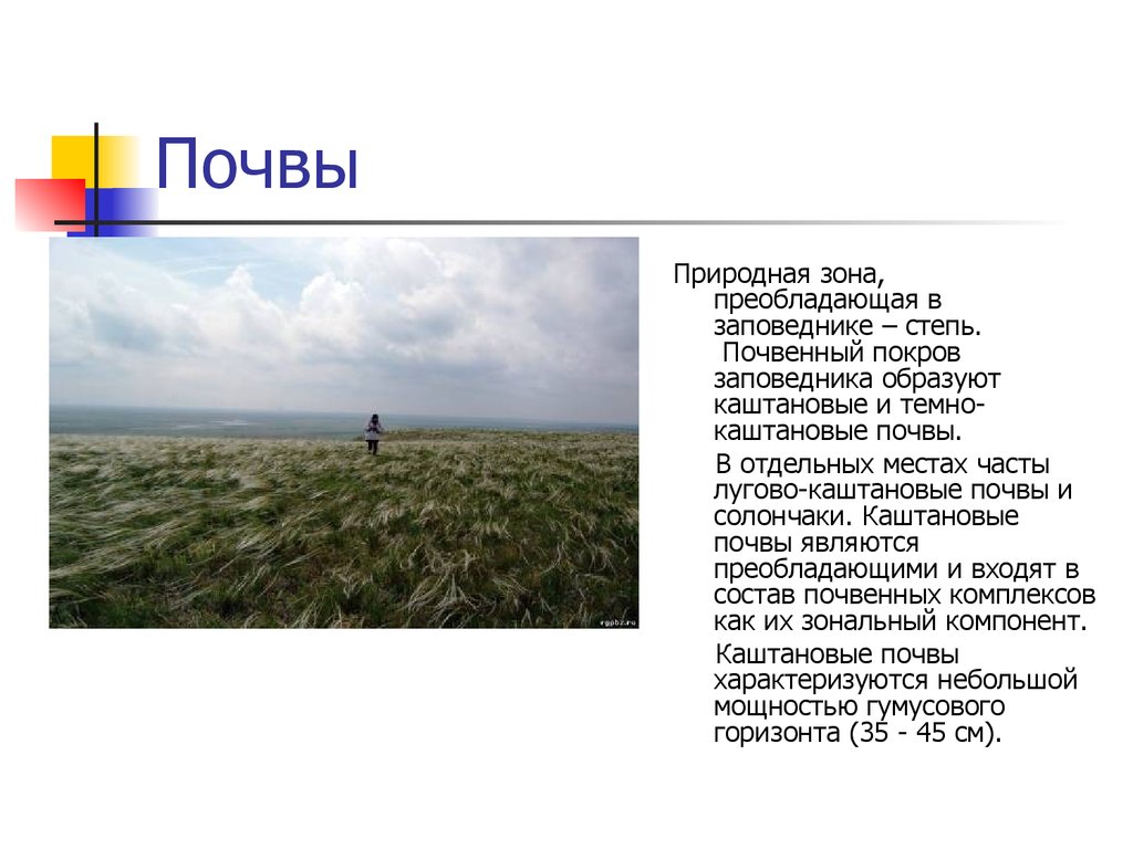 Какой тип почвы в степной зоне. Природная зона Ростовской области 4. Природная зона степь заповедник Ростовский. Почвы природных зон. Каштановые почвы природная зона.