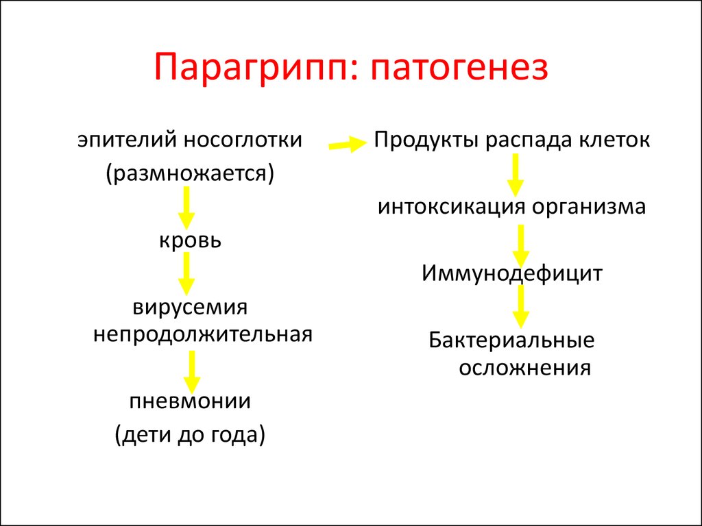 Интоксикация продуктами распада. Механизм развития парагриппа. Вирус парагриппа микробиология патогенез. Парагрипп патогенез схема. Этиология парагриппа у детей.