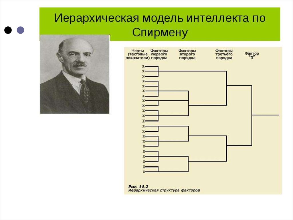 Психогенетика интеллекта презентация