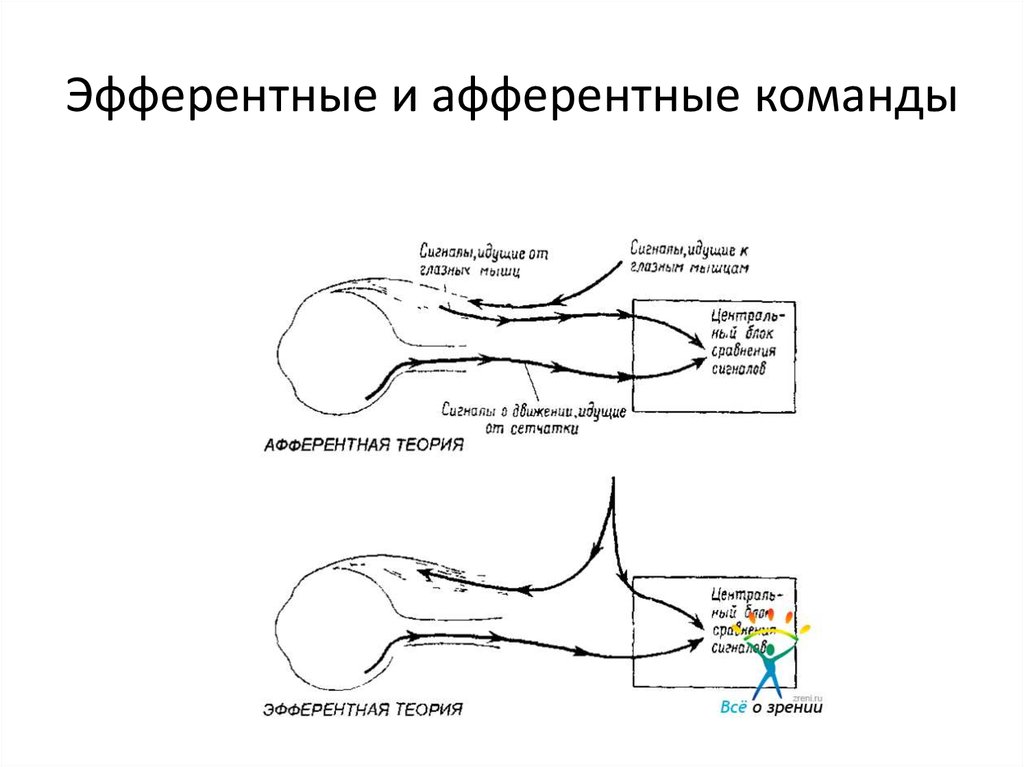 ebook лососевые рыбоводные заводы дальнего востока в экосистемах северной пацифики