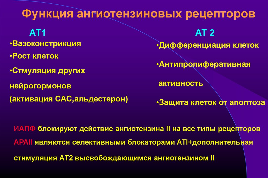 Рецепторы ангиотензина. Рецепторы ангиотензина II ат1 ат2. Ангиотензиновые рецепторы локализация. Блокаторы ат1-рецепторов уменьшают. Блокаторы АТ рецепторов.