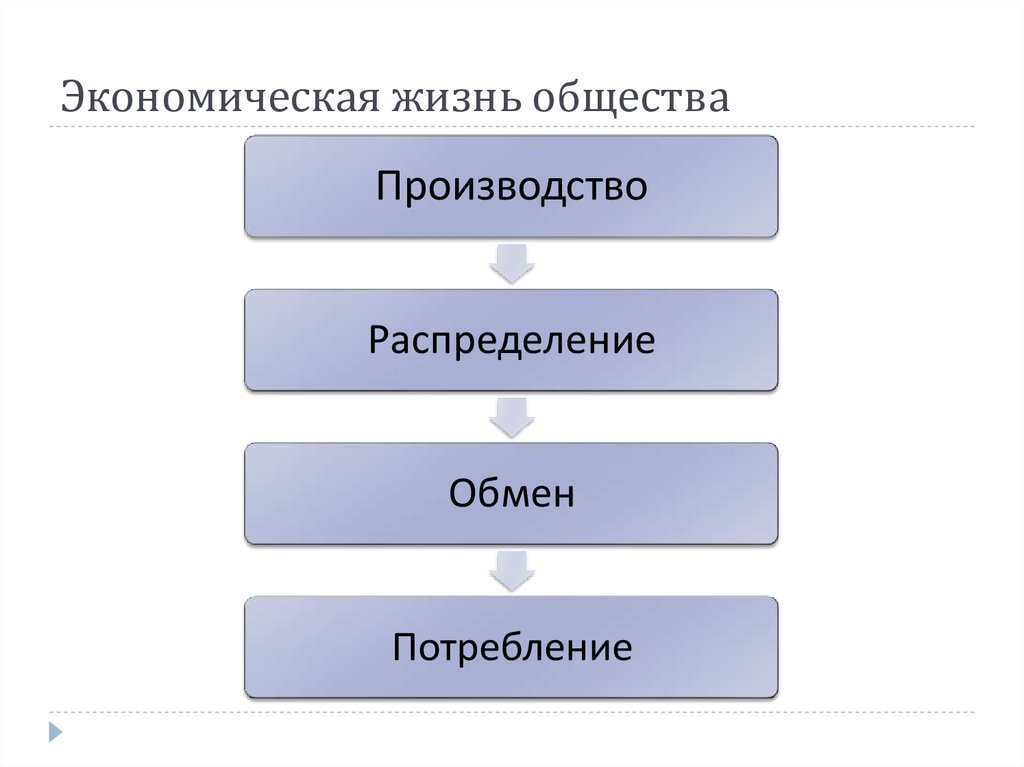 Основу хозяйственной жизни общества