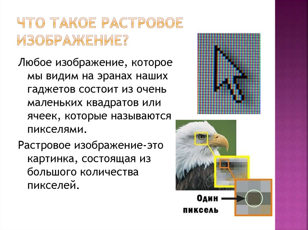 Растровое графическое изображение получается в процессе сканирования