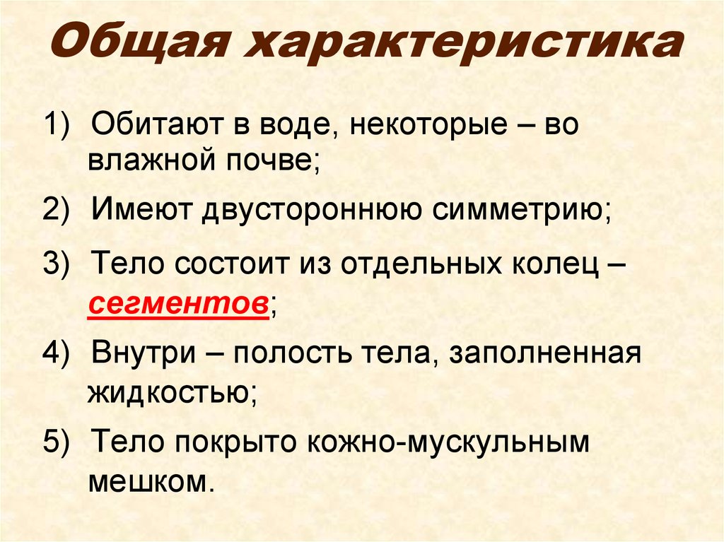 Общая характеристика