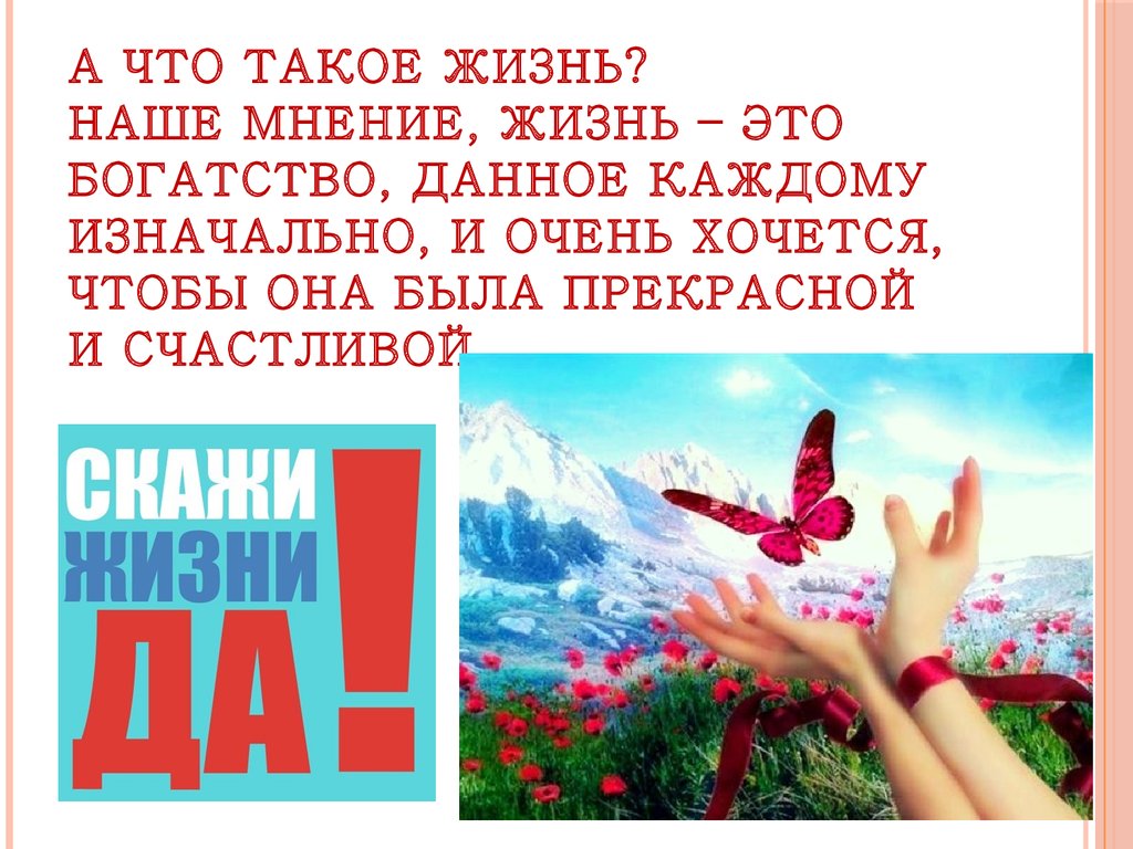 Что такое жизнь. Жизнь. Жизнь в картинках. Богатство жизни. Жизнь это жизнь.