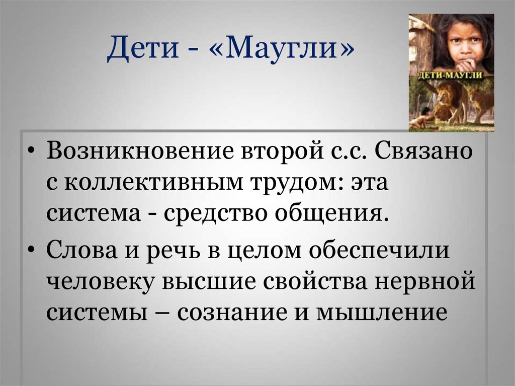 Общение слова связанные. Дети Маугли презентация. Сообщение о детях Маугли. Сообщение о детях Маугли 6 класс Обществознание. Какие качества человеческого общения отсутствуют у детей «Маугли».