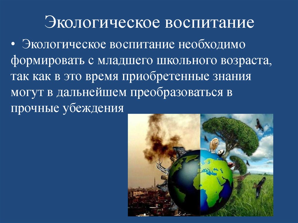 Экологическое воспитание