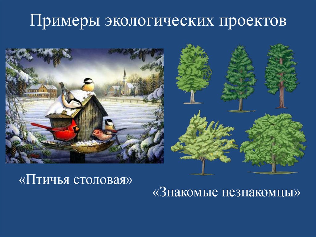 Проект природные. Экологические проекты примеры. Примеры проектов экологического типа. Экологичность проекта пример. Экология проект пример.