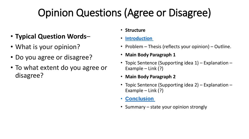 what is your opinion essay questions