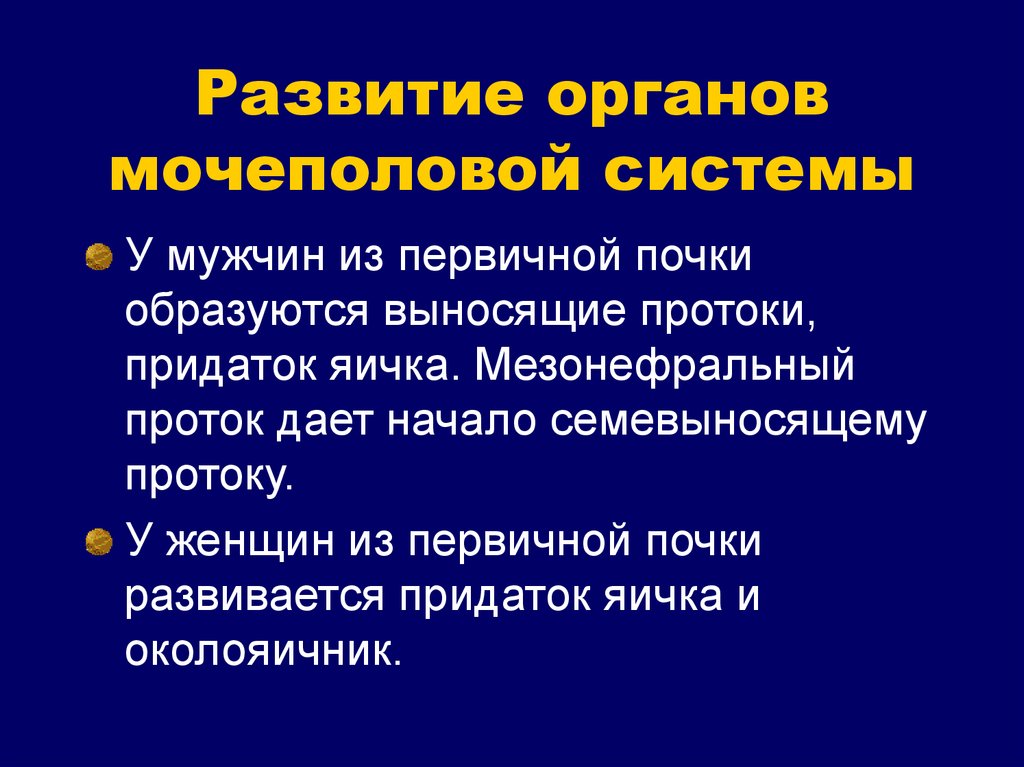 Формирование органов