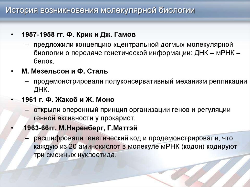 Презентация по биологии решение задач по молекулярной биологии