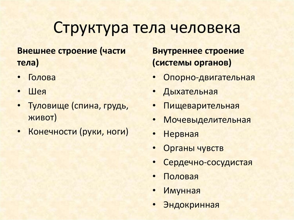 Биологическая структура человеческого тела презентация