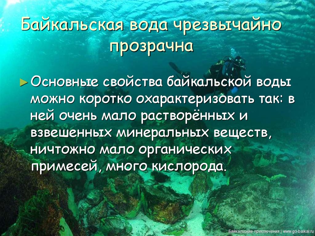 Почему байкал такой чистый. Байкальская вода. Основные свойства Байкальской воды. Особенность Байкальской воды. Характеристика Байкальской воды.