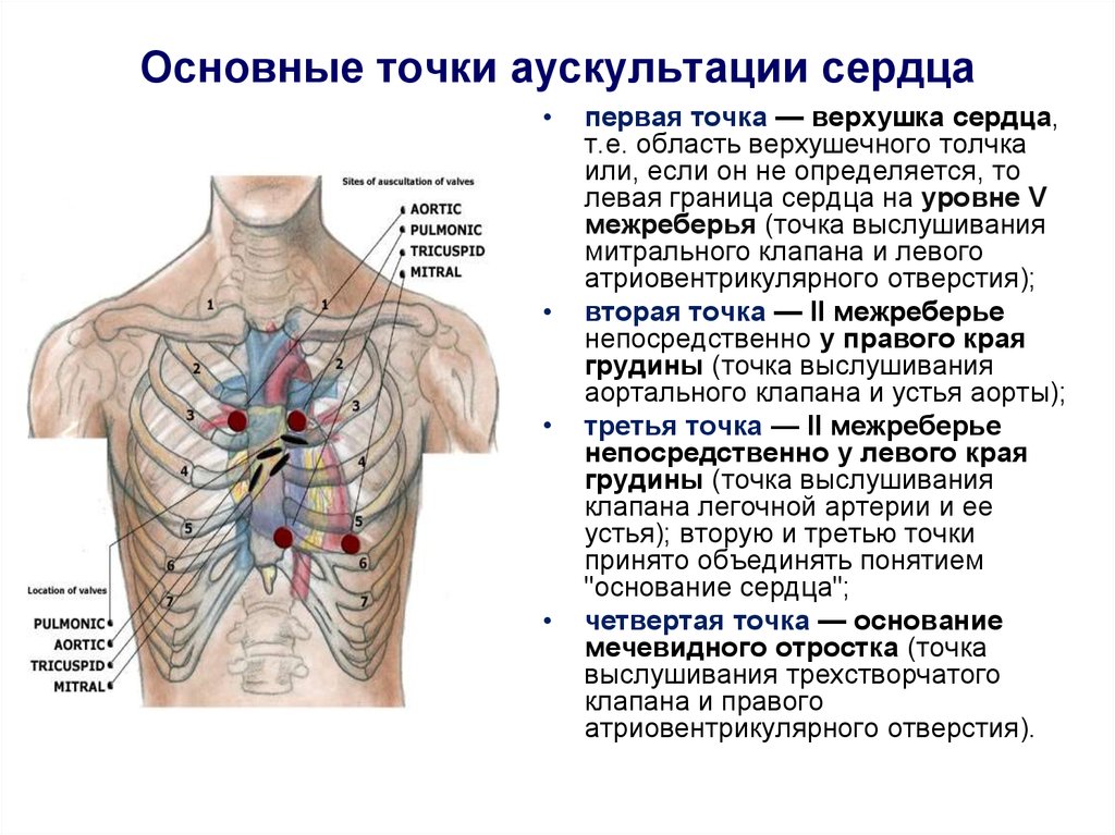 Аускультация сердца. Точки аускультации сердца 5 точек. Точки выслушивания тонов сердца характеристика. Точка выслушивания трехстворчатого клапана. Точки выслушивания 2 тона сердца.