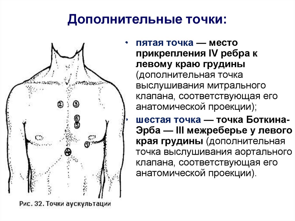 Е 6 точка. Точка Боткина Эрба для выслушивания. Аускультация точки Боткина Эрба. Аускультация в точке Боткина. 5 Точка выслушивания сердца Боткина Эрба.