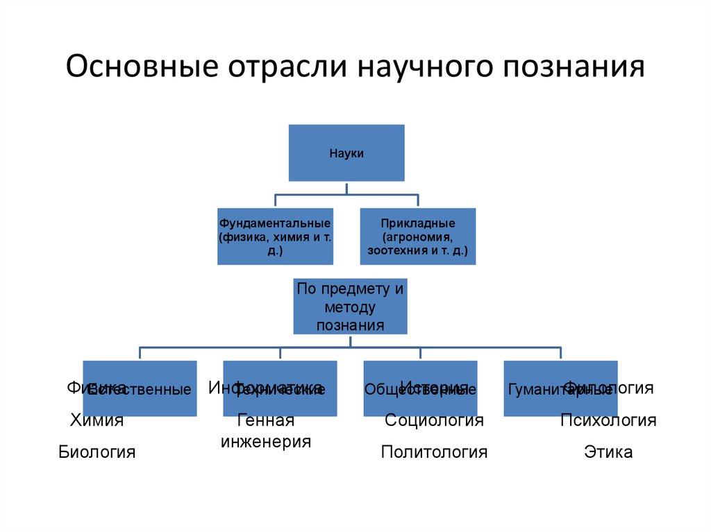 Главная наука. Основные отрасли научного познания. Основные отрасли научного знания. Схема отрасли научных знаний. Отрасль науки это примеры.