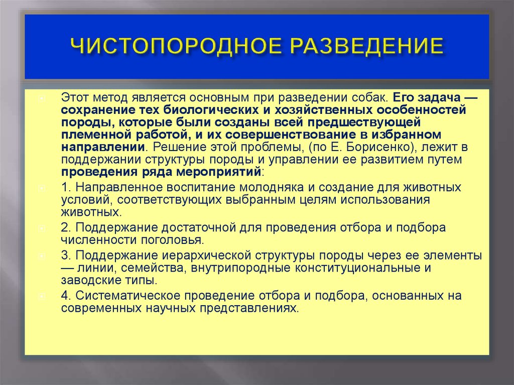 Племенная работа в коневодстве презентация