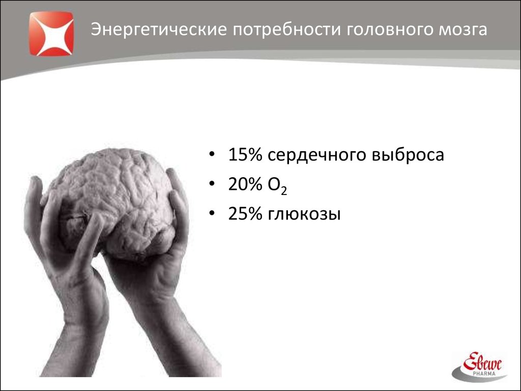 Энергетические потребности. Потребности мозга. Идеальные потребности мозга. Книга про потребности мозг. Древний мозг потребности.