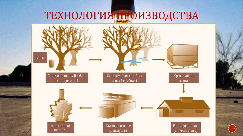 Технология производства