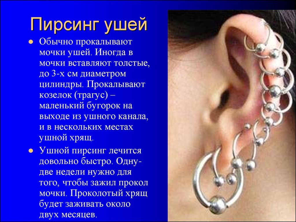 Что означают уши для мусульман. Схема прокалывания ушей.