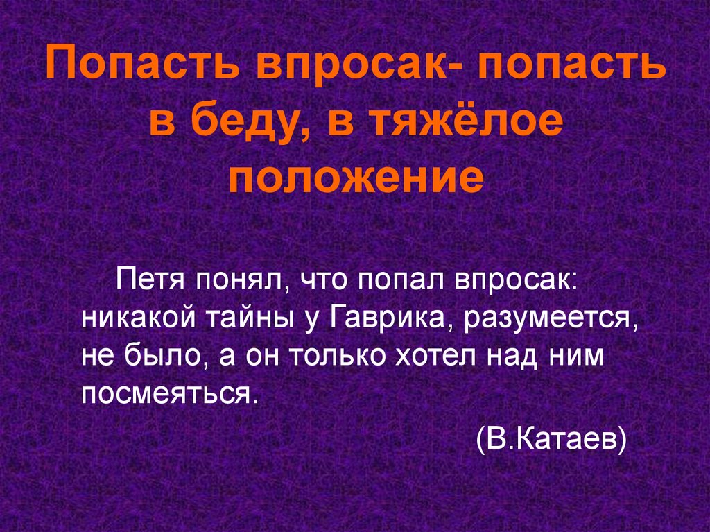 Объясните значение фразеологизма попасть впросак