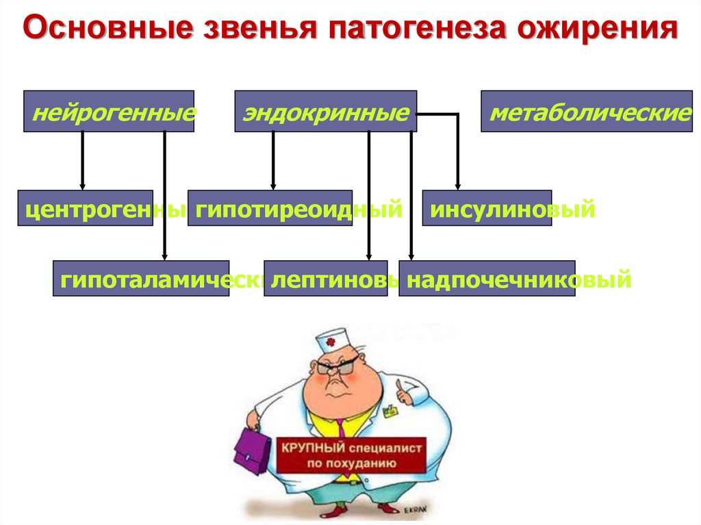 Ожирение патофизиология презентация