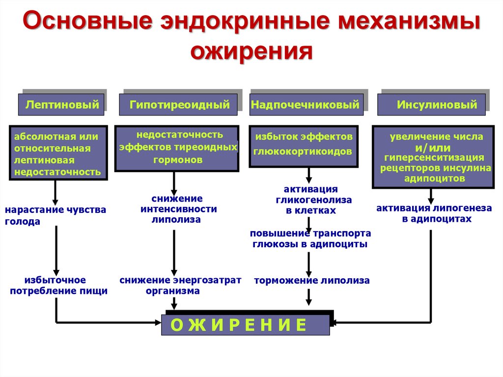 Патофизиология эндокринной системы презентация