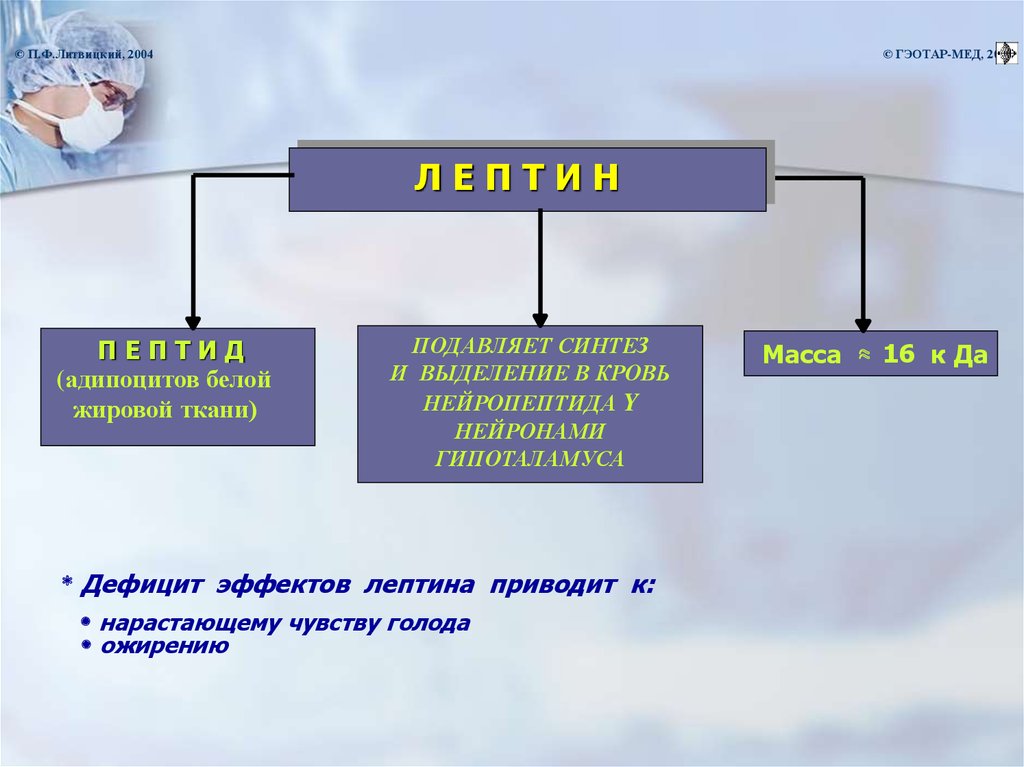 Ожирение патофизиология презентация