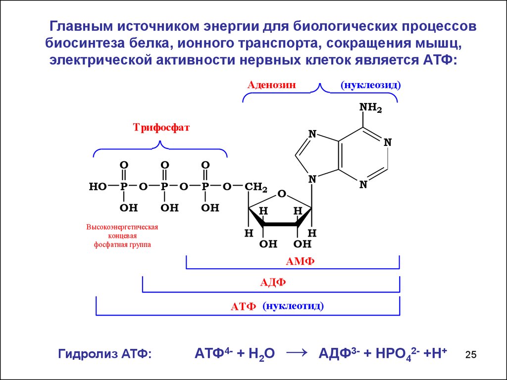 Реакция расщепления атф