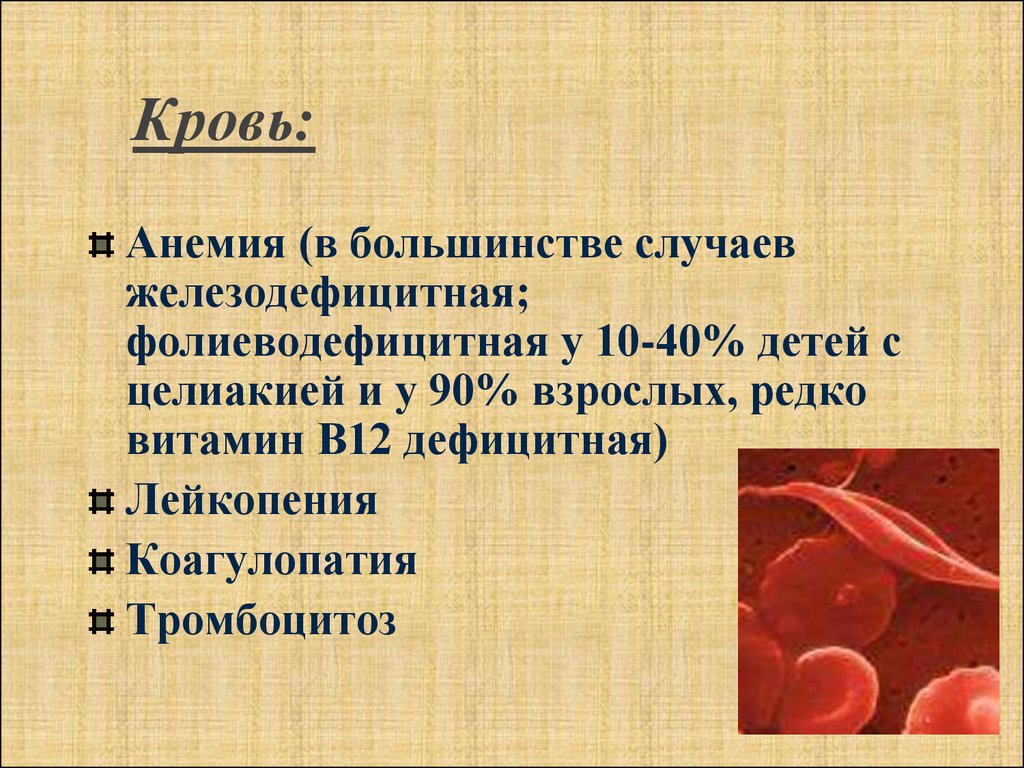 Анемия сопровождается. Железодефицитная анемия кровь. Фолиеводефицитная анемия и железодефицитная анемия.