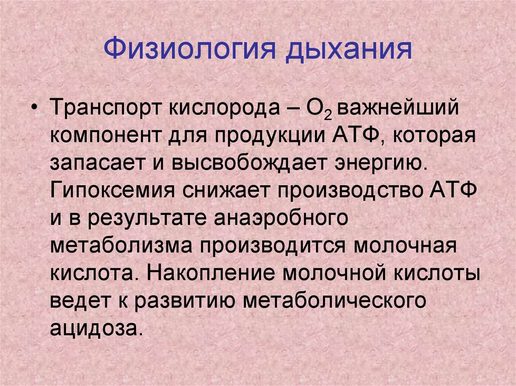 Физиологический это. Физиология дыхания. Дыхание это физиологический процесс.