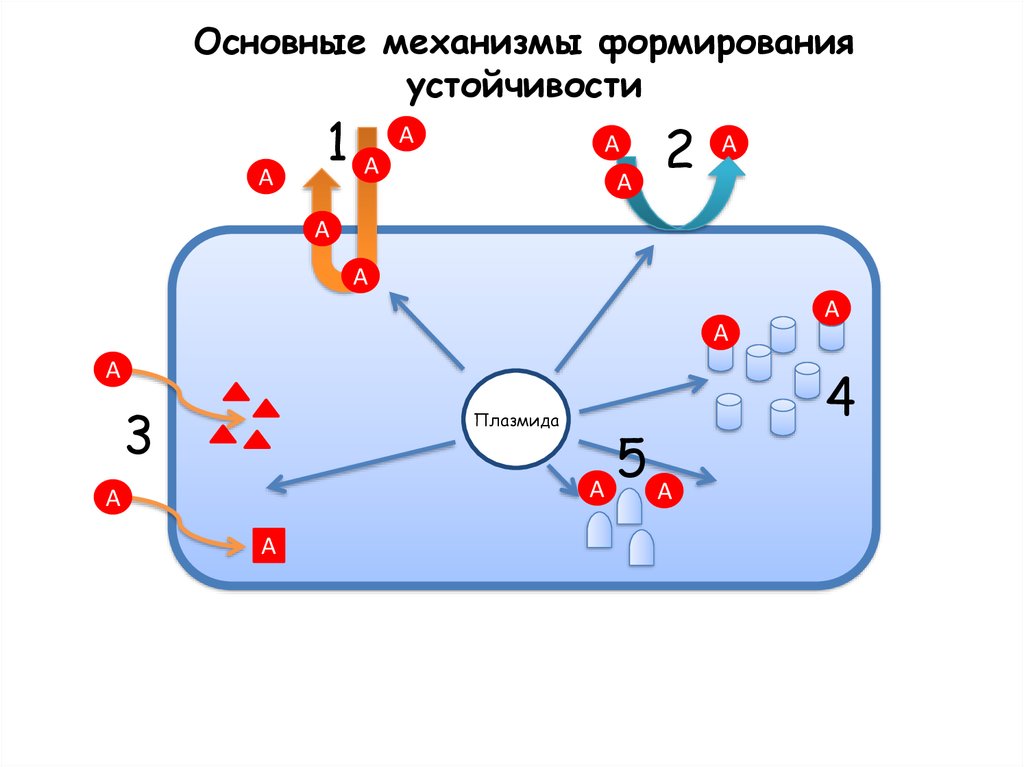 Основные механизмы резистентности. Основные механизмы формирования. Механизм формирования пузырьков. Механизм множественной лекарственной устойчивости r плазмид. Механизм формирования баров.