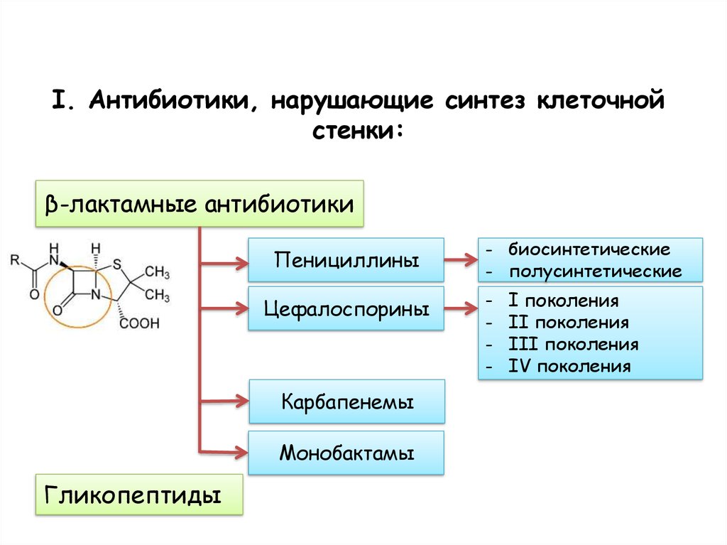 Какой синтез. Антибиотики нарушающие Синтез клеточной стенки. Антибиотик ингибирующий Синтез клеточной стенки бактерий. Антибиотики нарушающие Синтез клеточной стенки бактерий. Антибиотики подавляющие Синтез клеточной стенки.