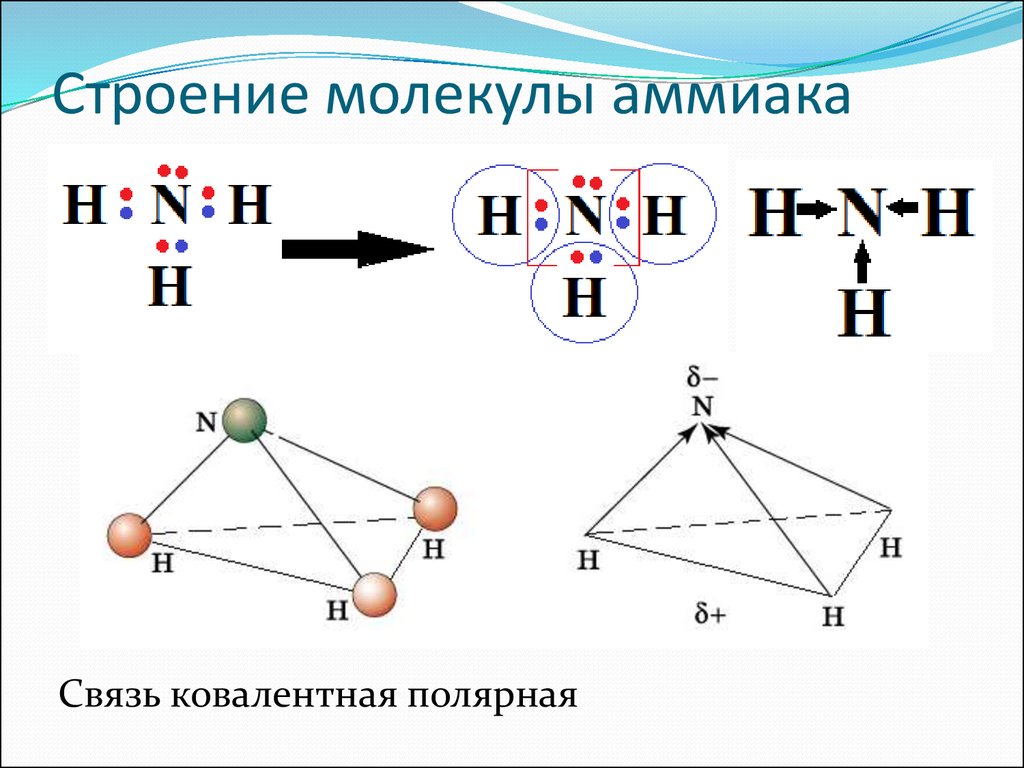 Электронные и структурные связи. Строение молекулы аммиака структурная формула. Структурное строение аммиака. Строение молекулы аммиака структурная. Изобразите схему образования химической связи в молекуле аммиака.