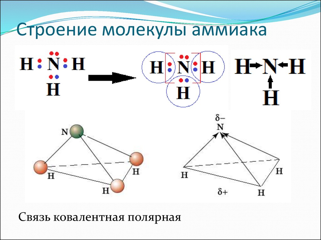 Химическая связь nh3. Строение молекулы аммиака формула. Структура молекулы аммиака (nh3 ). Пространственная форма молекулы аммиака. Схема образования молекулы аммиака nh3.