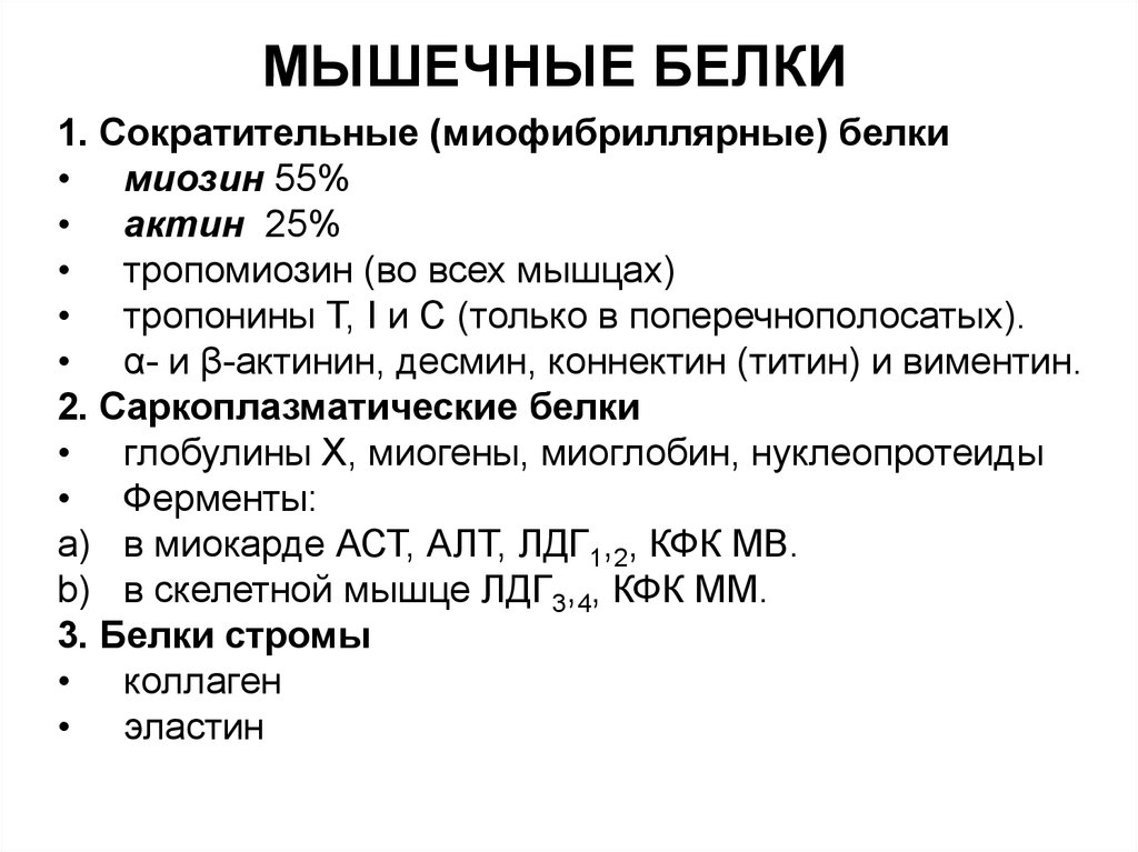 Биохимия памяти презентация