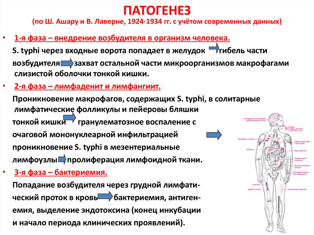 Сальмонеллез карта вызова