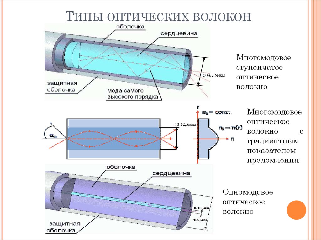 ebook electrophysiological methods physical techniques