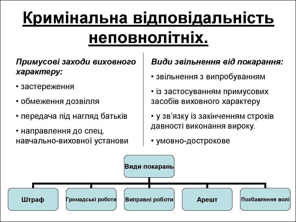 Реферат: Кримінальна відповідальність неповнолітніх