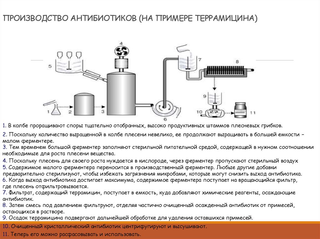 Технологическая схема получения рибофлавина