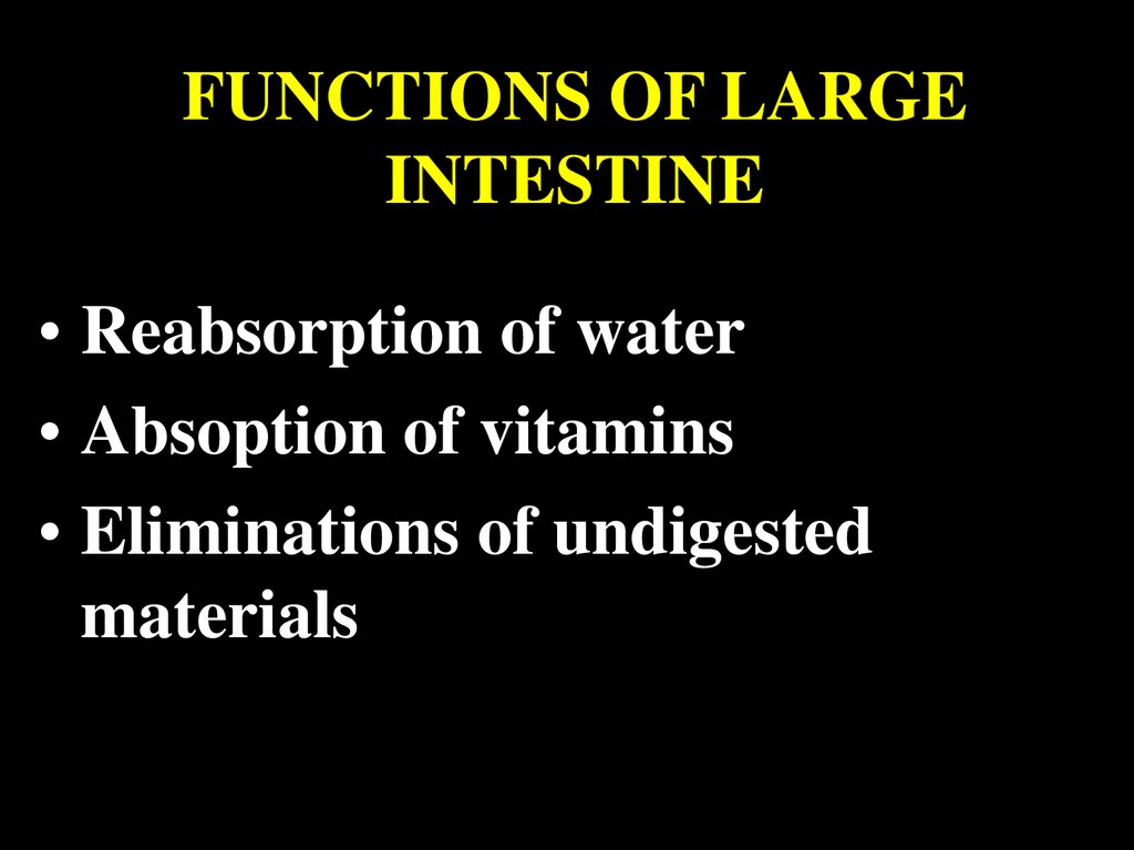 FUNCTIONS OF LARGE INTESTINE