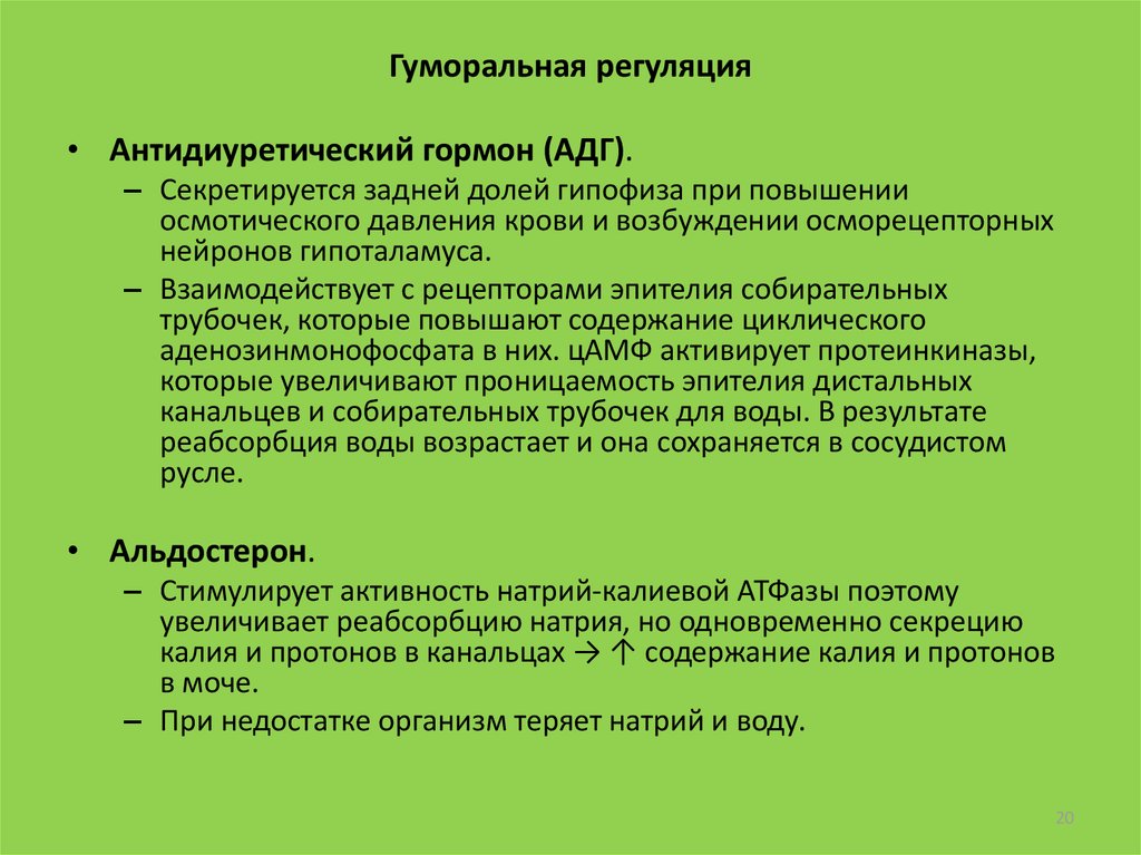 Неадекватная секреция антидиуретического гормона. Антидиуретический гормон секретируется в тесты с ответами. Когда выделяется АДГ.