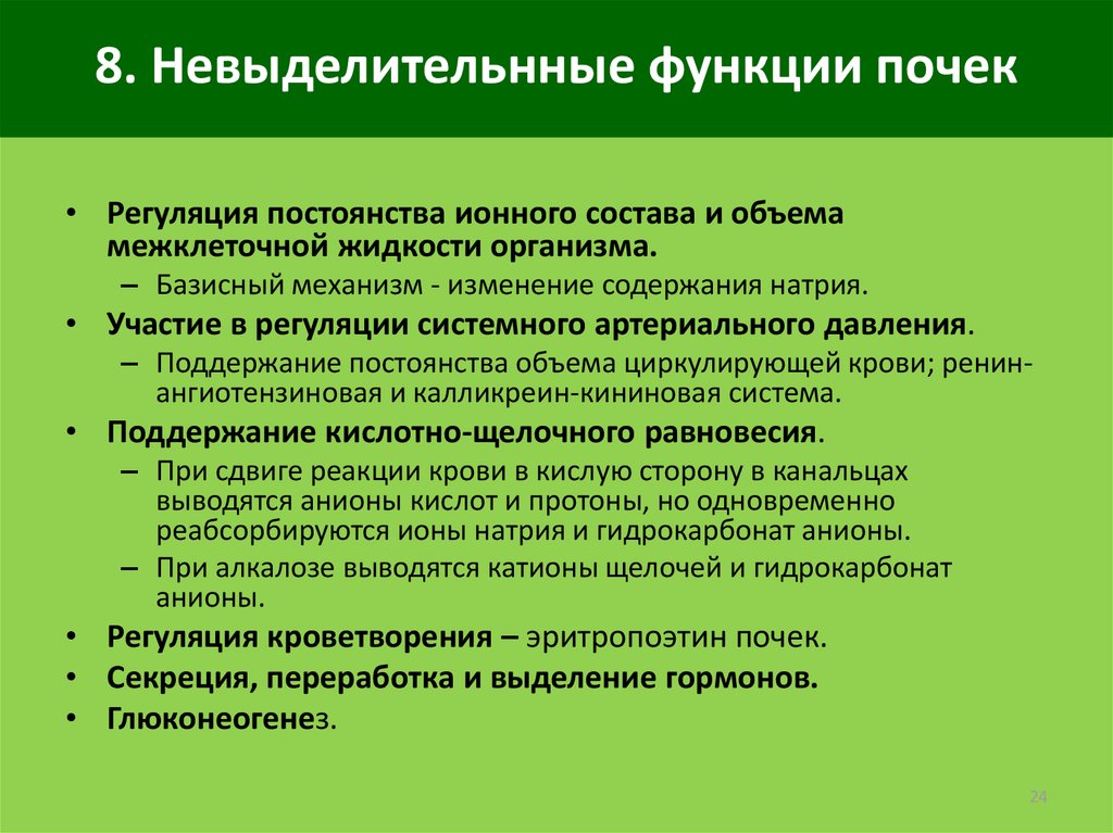 Функции почек. Выделительные и невыделительные функции почек. Перечислите функции почек.