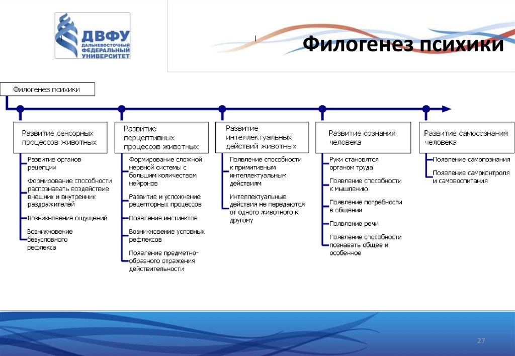 Онтогенез психики