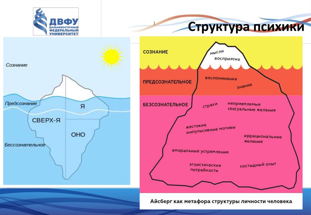 Топографическая схема психики