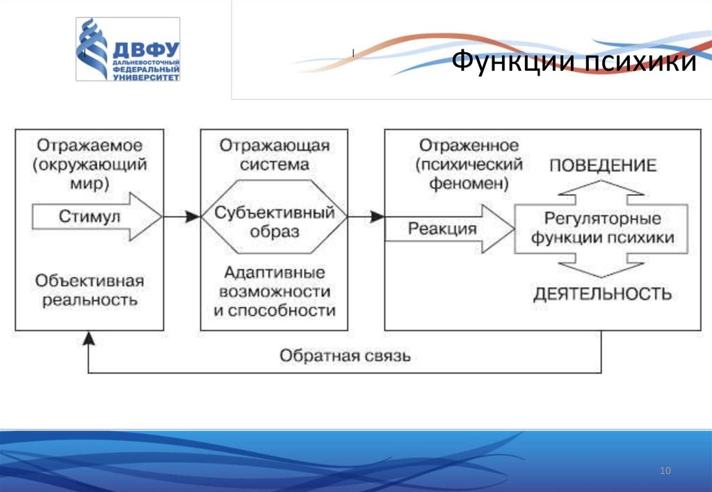 Психика является функцией